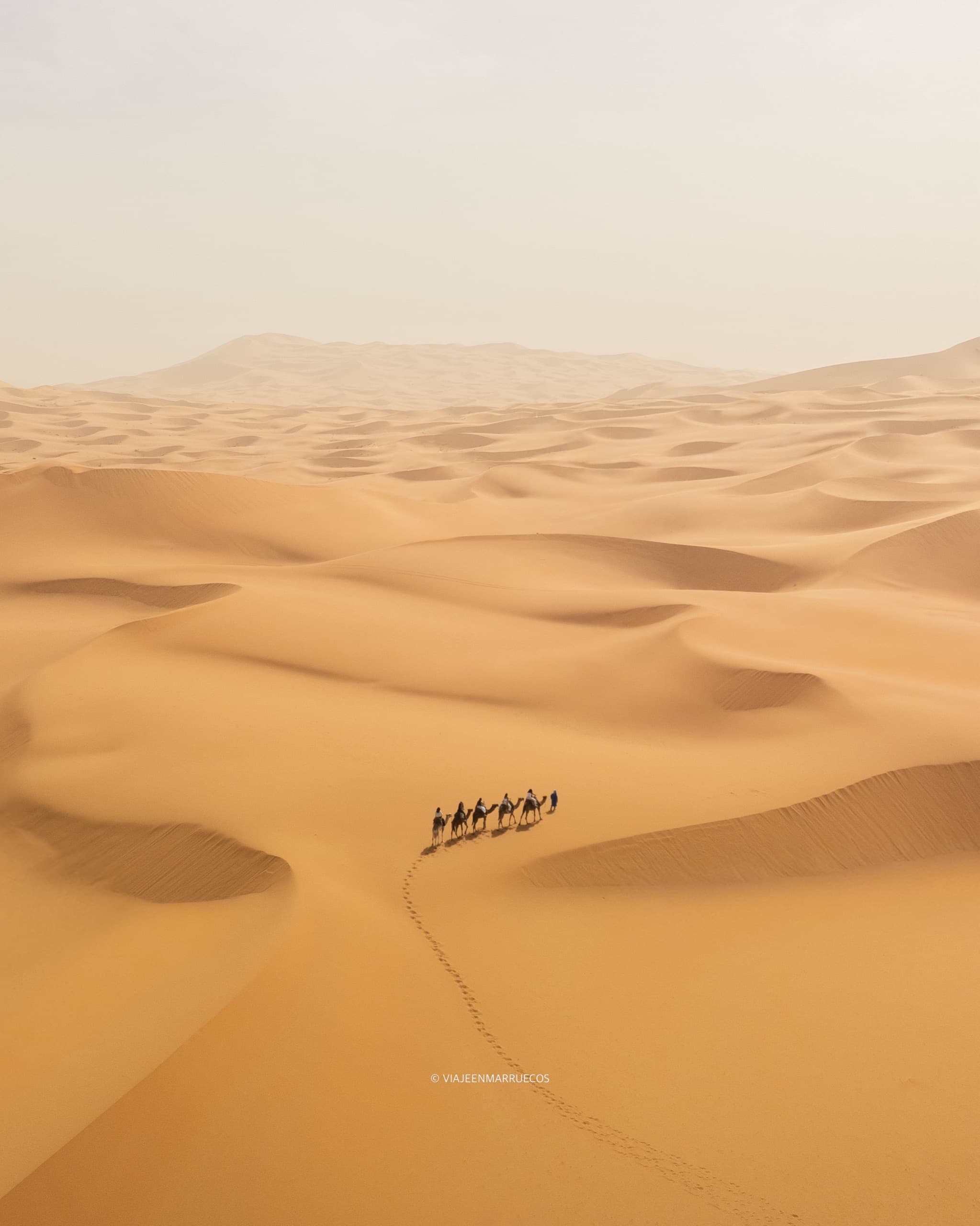 Sahara Desert — Marrakech — foto 1