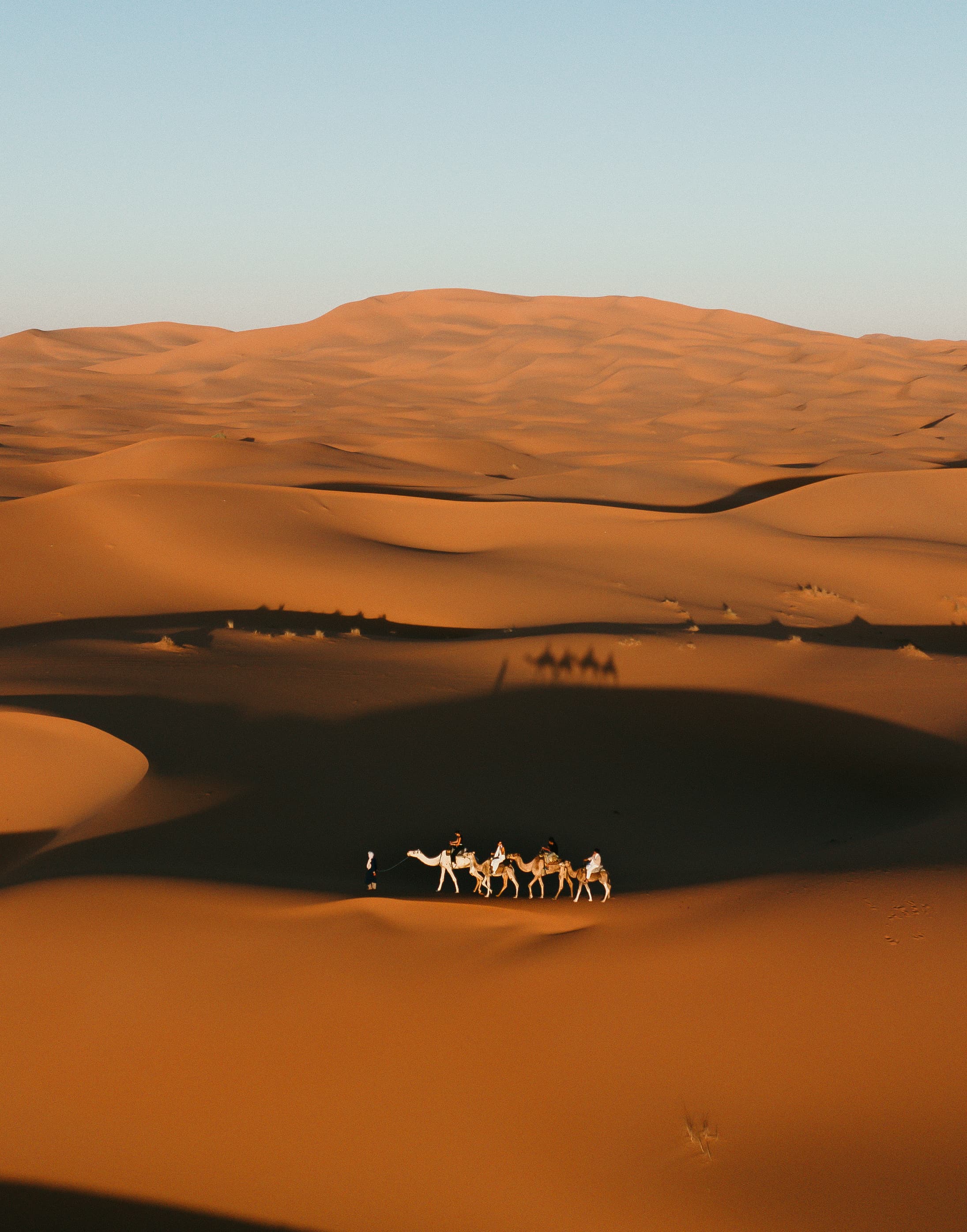 Desierto del Sahara — Marrakech — foto 1