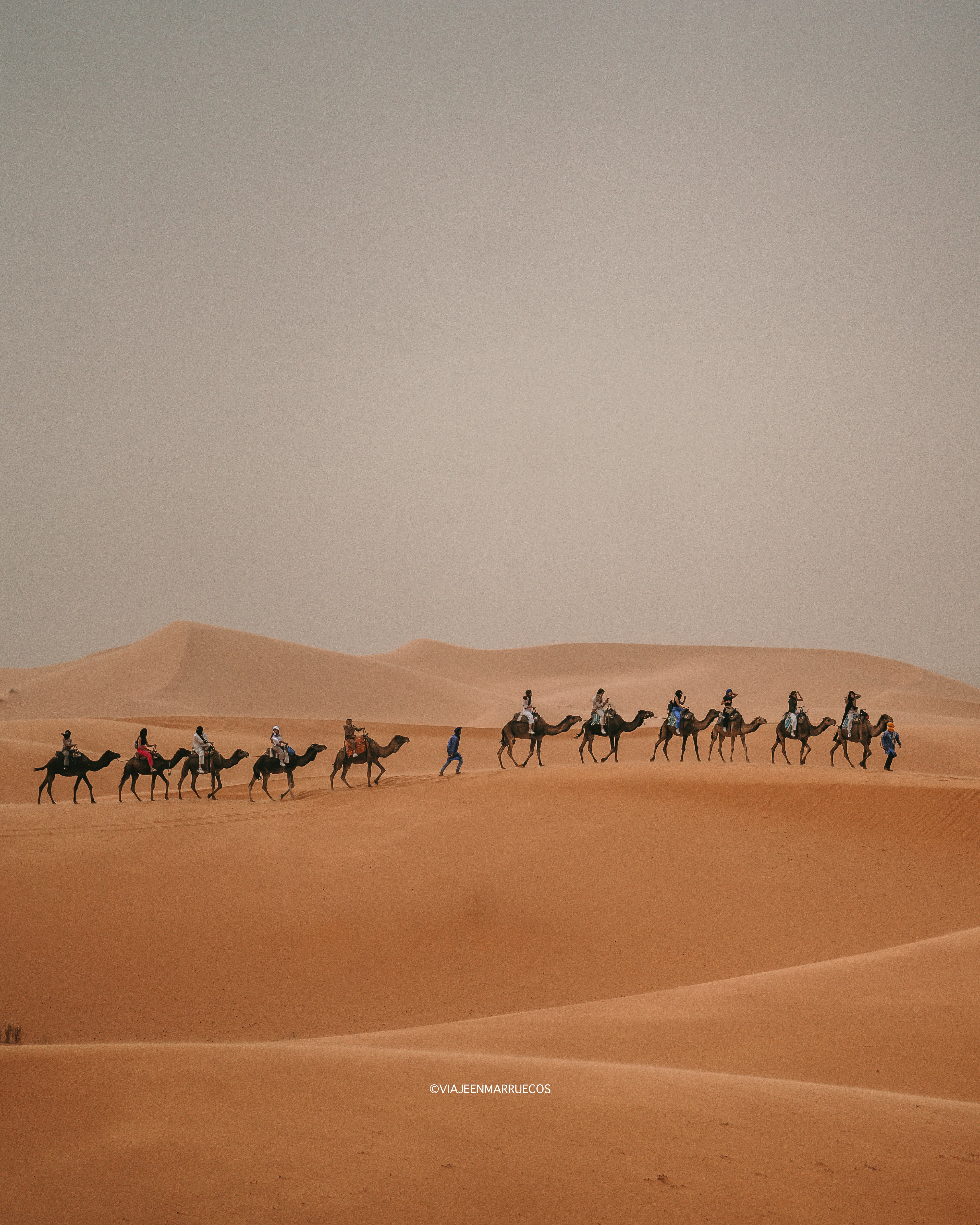 Desierto del Sahara — Ifrane — Fez — foto 1
