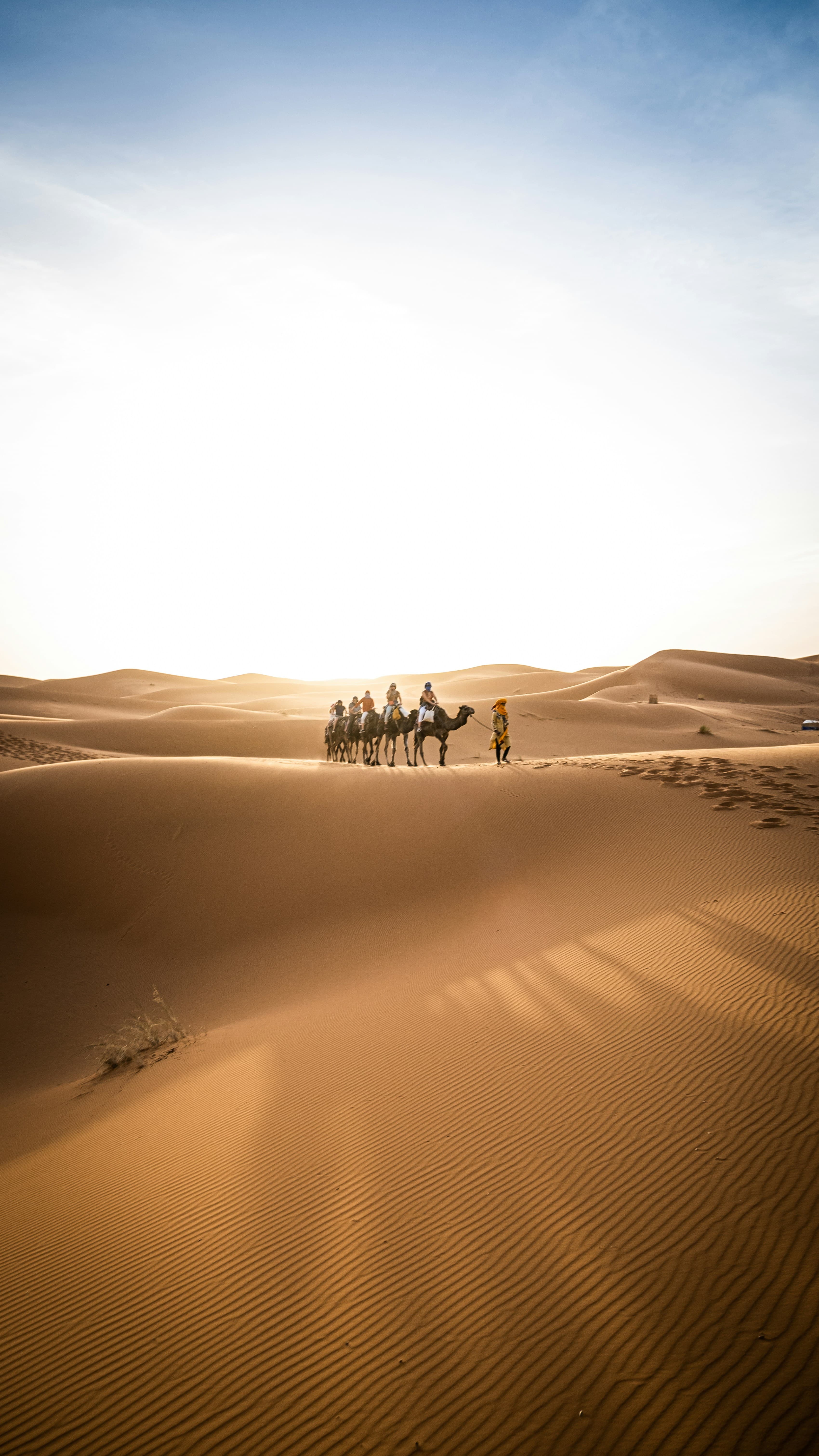 Marrakech — Errachidia — Sahara Pearl Hotel — foto 1