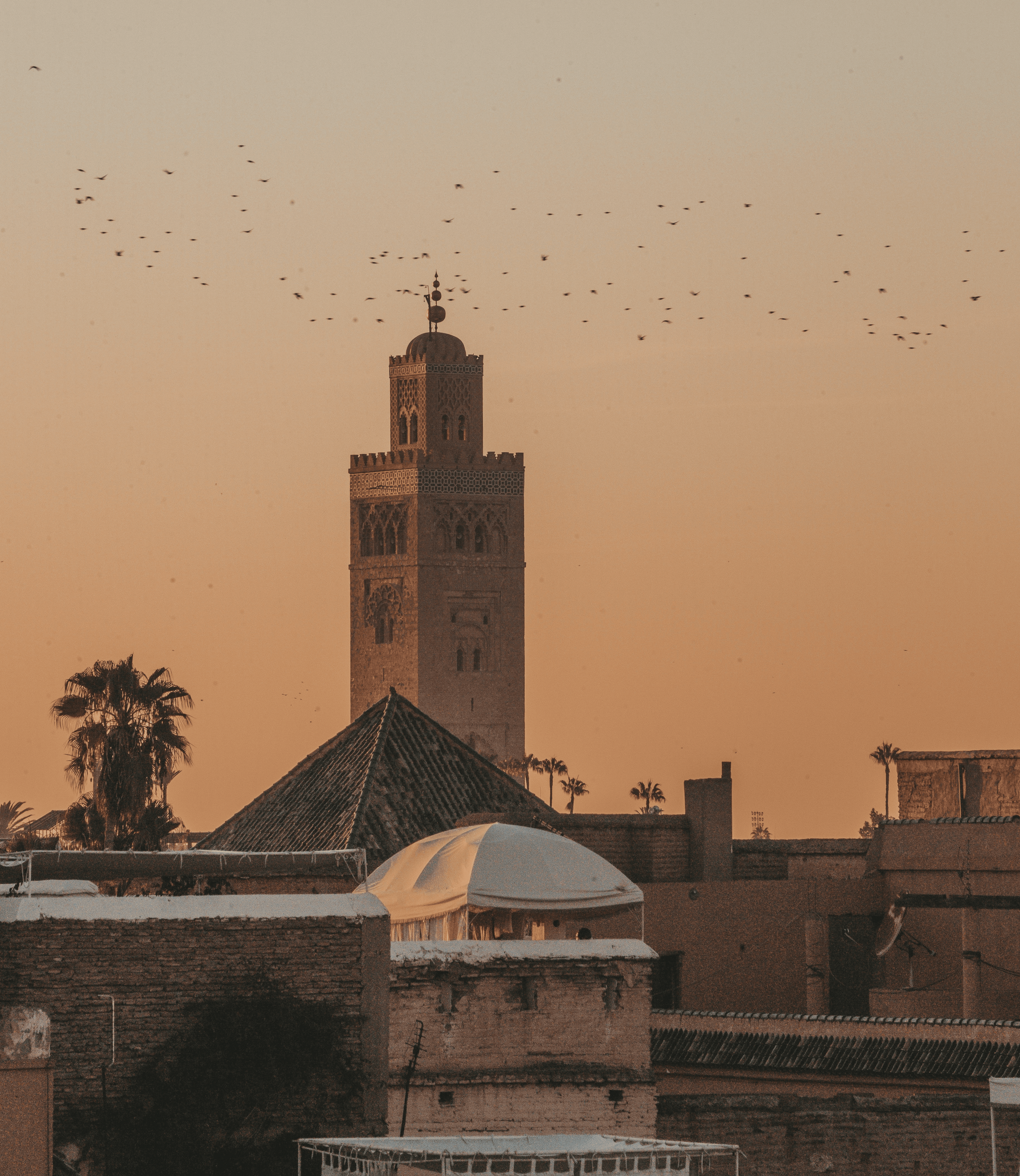 Morocco Experience
